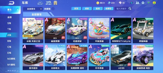 通过本次体